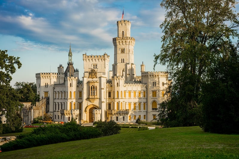 Fairy-tale Forest Clearings